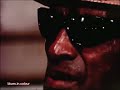 Sleepy John Estes & Yank Rachell - 'You Shouldn't Do That' live 1969