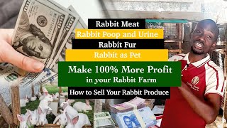 How to Sell Your Rabbit and Farm produce || Profitable Rabbit Farming || Basic of Rabbit Farming