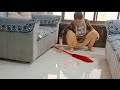 Daliy House Cleaning Vlog Ghar Ke Liye New Plant ️ Liya