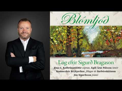 Fagra veröld - Sigurður Bragason