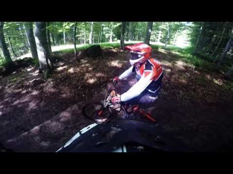 downhill sinaia paul iunie