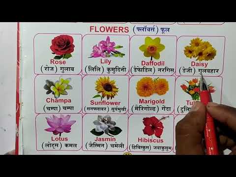 Flowers Name, flowers, flowers name withpictures, flowers name with spelling, flowers with pictures.