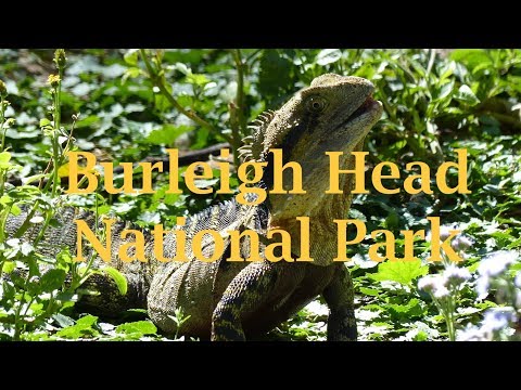 Burleigh Head National Park