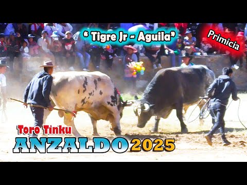 ANZALDO 2025- Toro Tinku, Encuentro "Aguila -Tigre Jr.". (Video Oficial) de ALPRO BO