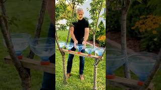 DIY Vertical Tomato Garden Using Water Containers 🍅🌿