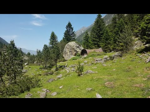 F. Carulli – Op. 241 No. 5 Andantino