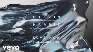 Calvin Harris - Love Now [Audio] ft. All About She