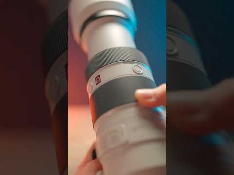 Sony 100-400mm G-Master x Sony A7iii | ASMR