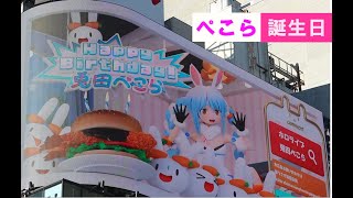 ぺこら誕生日 兎田ぺこら生誕祭 3d live ホロライブ 配信中 ぺこら ポケモン ぺこら マイクラ 宝鐘マリン hololive reaction ぺこら 切り抜き にじさんじ 配信中
