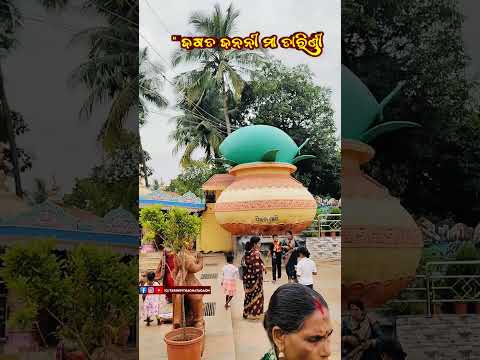 Maa Tarini Temple Morning View Darshan | Episode 35 | Maa Tarini 😍✨