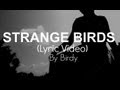 Strange Birds - Birdy (lyric Video) 