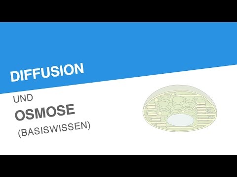 DIFFUSION UND OSMOSE (BASISWISSEN) | Biologie | Stoffwechselbiologie