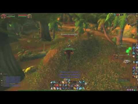 Steamwheedle Cartel Reputation Guide - Insane Achievement - WoW