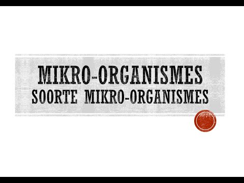 Gr8 NW Mikro organismes soorte