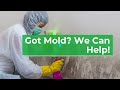 Don’t let mold damage your home! You can rely on us for the mold removal services you need. Visit https://www.chaseenvironmentalct.com