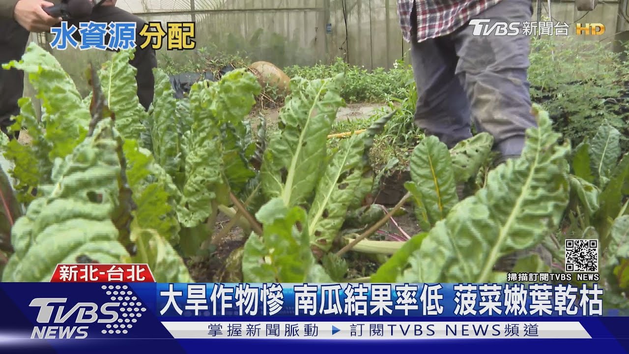 壓寶梅雨解旱象？　專家：應多方面思考水資源「開源」
