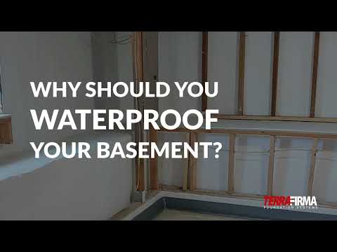 Why Should You Waterproof Your Basement?