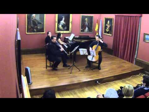 Brahms trio op.114 - 1. Allegro - Artemis Ensemble