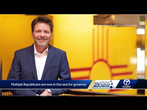 A half dozen Republicans running for governor of NM