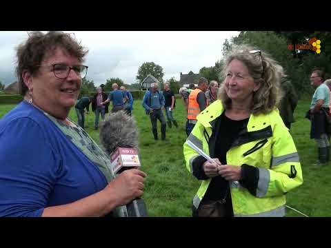 Opzoek naar de Romeinse weg