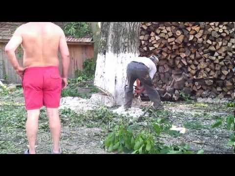 Nucul cel batran part2 cadee