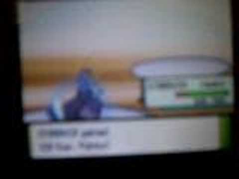 Pokemon Pearl-Eterna Gym Leader Gardenia