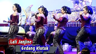 Download lagu Lali Janjine - Efek Gedang Klutuk Sindene Pak Minto mp3