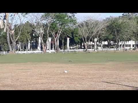 how to hunt a bird, Hunting level 99999