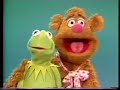 The Muppets Rare Outtakes Other Rare Unseen Stuff