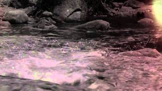 Mogwai - White Noise (Music Video)