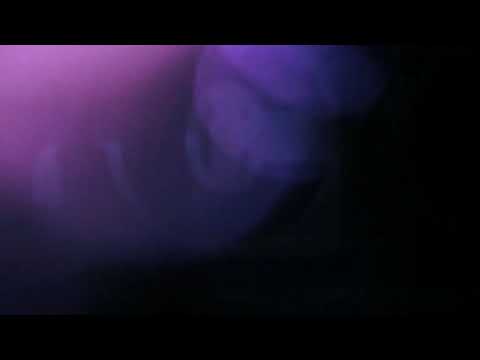 Arthur Santos, Ivo Vieira & Adorallyn Pagan - Zouk Steal Dance @ NYC Zouk Festival