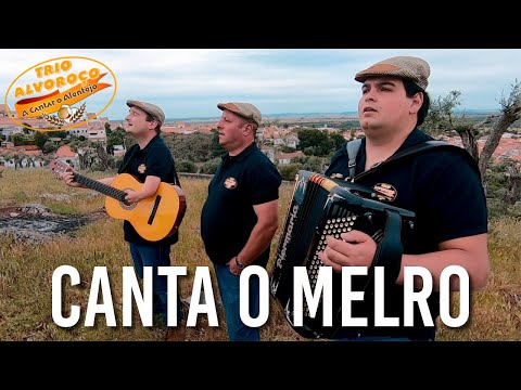 Trio Alvoroço - Canta o Melro