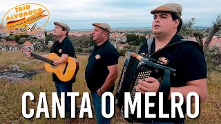 Musik-Video-Miniaturansicht zu Canta o Melro Songtext von Portuguese Folk