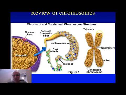Lec 3.2.1 Introduction to DNA Logic
