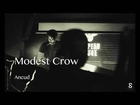 Modest Crow - Ancud
