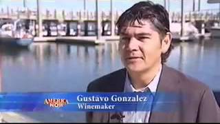 Does the ocean hold the secret to great wine?