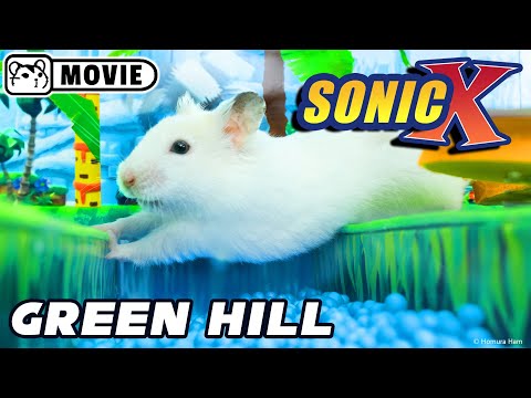 Hamster Sonic vs Eggman ep.1 - Green Hill zone 🐹 Big hamster escape 🐹 Homura Ham