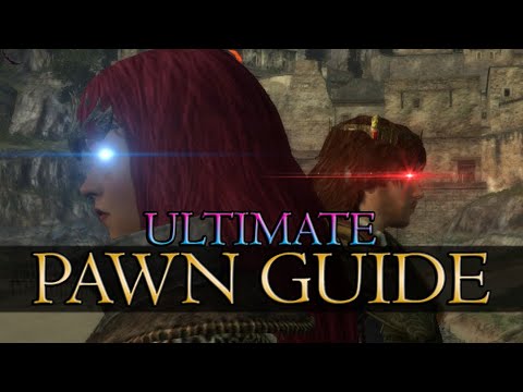 ULTIMATE PAWN GUIDE | Dragon's Dogma