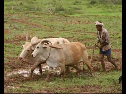 Schools of Philosophy and Religious Cults in Early Medieval India