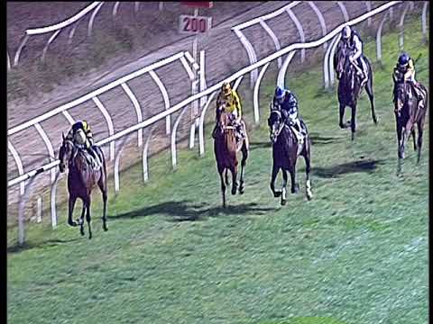 Galoppo 24/11/2018 - 4ª corsa