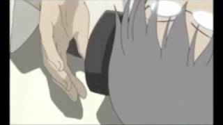 Professor Stein amv