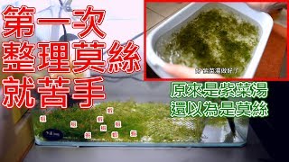 第一次嘗試綁莫絲就苦手 | 好困難！漂來漂去的莫絲 | 水族 DIY
