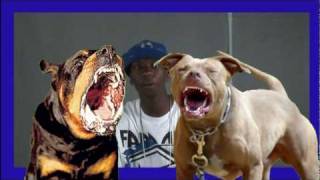 Young Sha - Paw Print Ryders