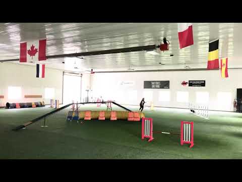 Love my “Zip Zip Zip” command!  McCann’s Bee-Line!