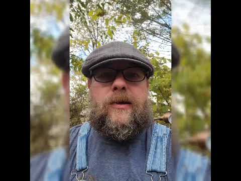 Mashing in a 100% wheat cereal mash using the Dr. Gradus and Malteurop White Wheat.