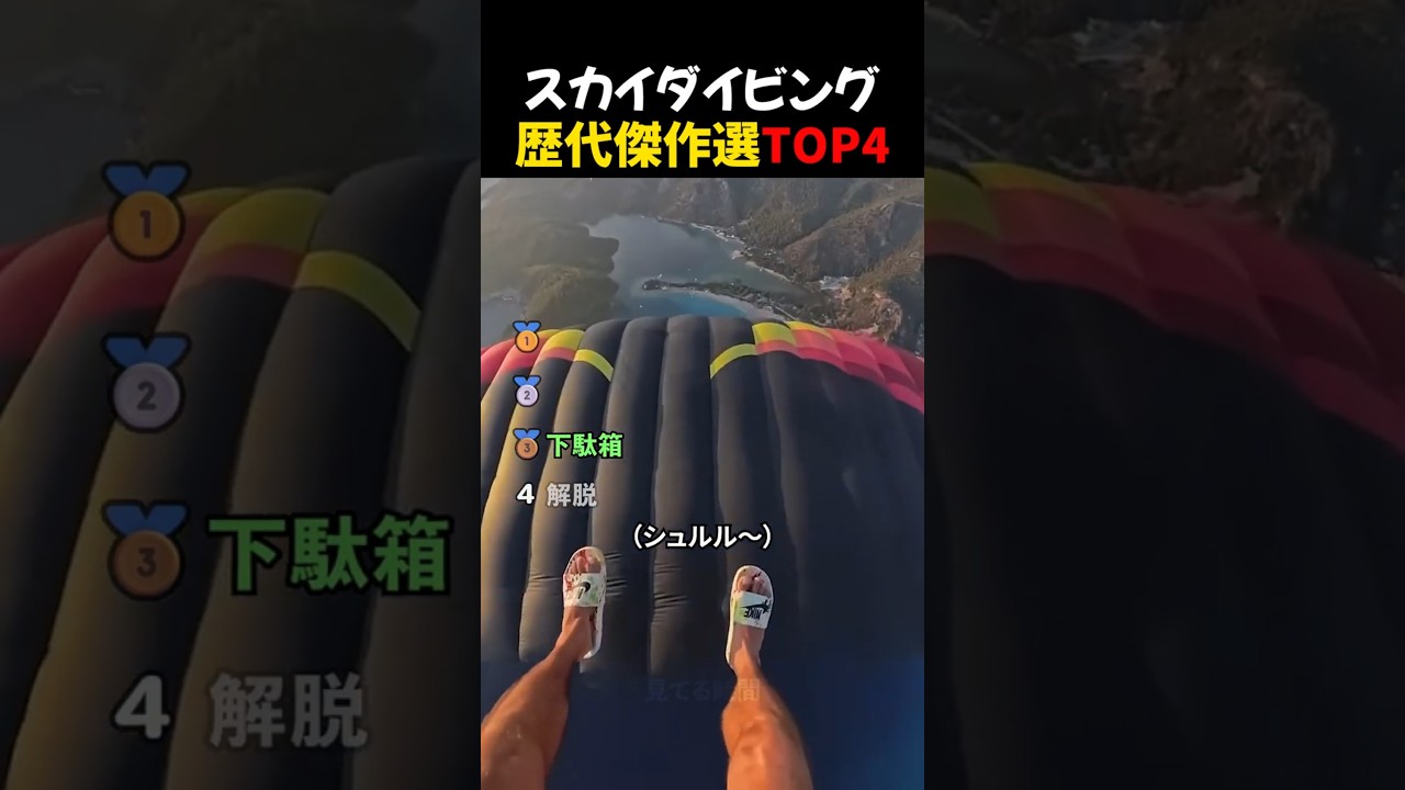 スカイダイビング歴代傑作選TOP4