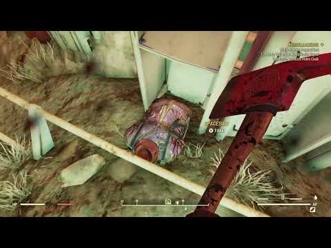 Cool outfit (fallout76)