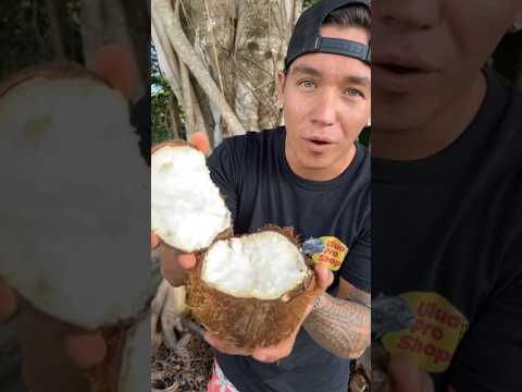 How To Identify A Sprouted Coconut 🥥🌱