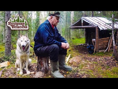 ПОХОД В ЛЕС С ХОПКИНСОМ. ЛЕСНАЯ ИЗБА. Добрые походы.