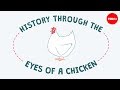 History Through The Eyes Of A Chicken Chris A Kniesly